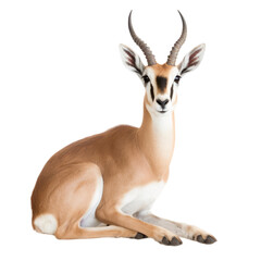 animal Gazelle sitting on transparent background, generative Ai