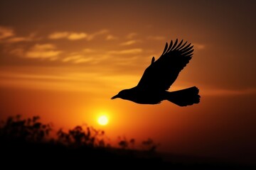 Naklejka premium A bird silhouetted at dawn, captured in a stunning photo as it gracefully soars through the sky. Generative AI