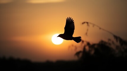 Obraz na płótnie Canvas A bird silhouetted at dawn, captured in a stunning photo as it gracefully soars through the sky. Generative AI