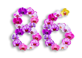 The shape of the number 86 is made of various kinds of orchid flowers. suitable for birthday, anniversary and memorial day templates