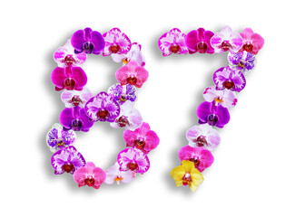 The shape of the number 87 is made of various kinds of orchid flowers. suitable for birthday, anniversary and memorial day templates