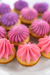 Mini Vanilla Cupcakes with Pink Buttercream Frosting