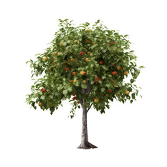 tree with apples isolated on transparent background cutout