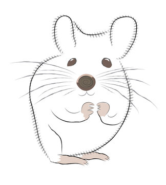 sketch of a mouse, drawing of a little mouse
