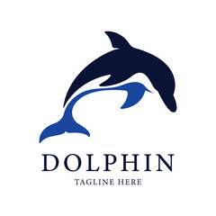 abstract dolphin logo template.