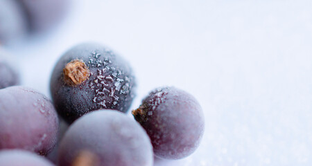 Close-up macro of frozen berries, black currant, red currant on a white background. Healthy eating and food concept. Copy space