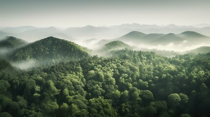 Mountain peaks with green trees in the fog. Panoramic shot. Generative AI