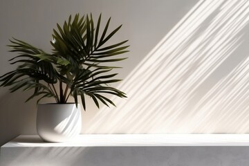 Backdrop for cosmetic product display: white vase with plant on white table counter in sunlight,...