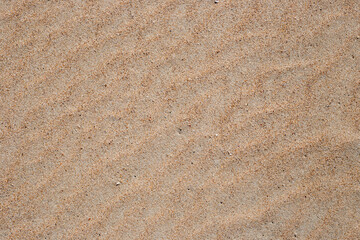 Surface of yellow sand with wavy lines. Texture, natural background