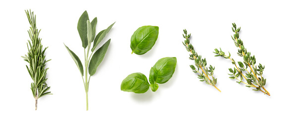 fresh mediterranean herbs isolated over a transparent background rosemary, sage, basil and thyme,...
