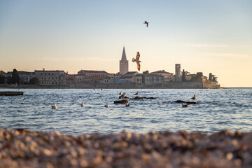 Scenic sunset at Porec beach, old town in the background, Croatia