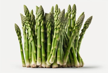 Asparagus isolated on white background. generative ai
