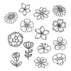 Set of hand drawn flower vector
