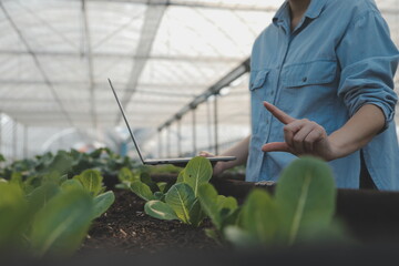 Asian woman farmer using digital tablet in vegetable garden at greenhouse, Business agriculture technology concept, quality smart farmer.