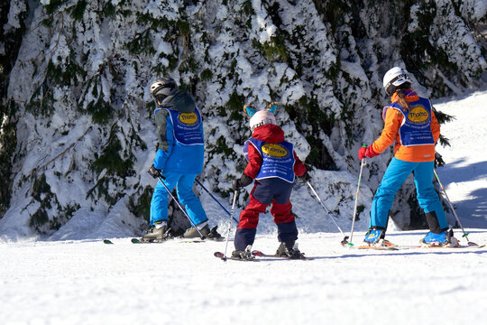 Feldberg, Germany - February 08, 2023: Pupils of ski school Thoma during mountain downhill training in the Black Forest. 3 children learning winter sports on the snow. Ski course. Rear view.