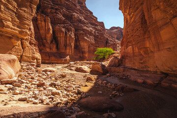 Wadi Numeira canyon in Jordan - spectacular rocks create a beautiful landscape.