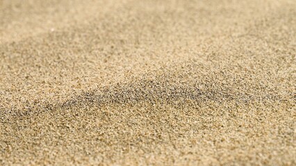 Fototapeta na wymiar Background of coarse sand in close up