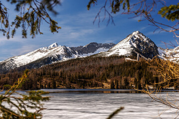 Beautiful spring nature - an iced lake in the mountains. View through the pines