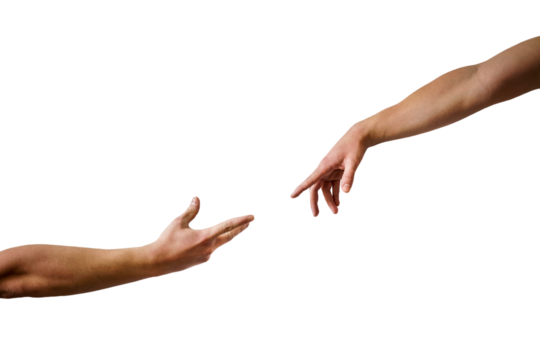 Hands of man and woman on a transparent background