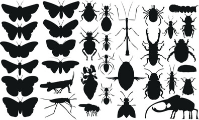 vector insect silhouette collection - obrazy, fototapety, plakaty