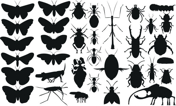 vector insect silhouette collection