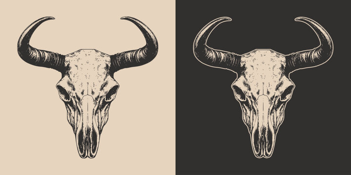 Set of vintage retro scary spooky cow bull skull head skeleton. Cowboy Native American. Can be used like emblem, logo, badge, label. mark, poster or print. Vector. Hand drawn element in engraving