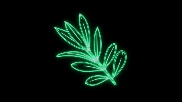 Neon Line Light Olives Branch Illustration Glowing Led Light Green Branch Frame Template Peace symbol animated frame for title bar design Modern 4K Video motion graphic animation Isolated on black