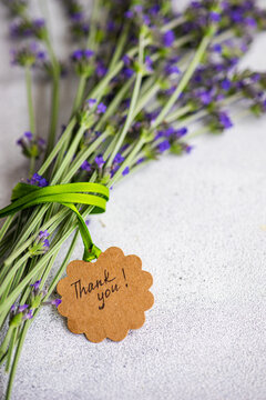 High angle of summer interior decor with fresh lavender flowers on the concrete background
