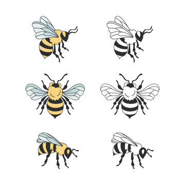 Honeybee bumblebee clipart collection. Bee vector illustration set isolated on white background. Groovy decorative hand drawn beekeeping design elements.