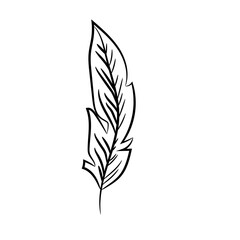 feather icon