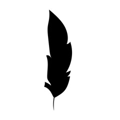 feather icon 
