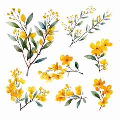 Set of yellow floral watecolor. flowers and leaves. Floral poster, invitation floral. Vector arrangements for greeting card or invitation design