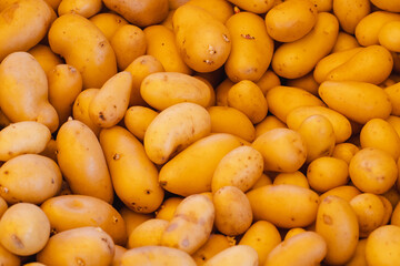 Heap of fresh tasty potatoes in grocery store