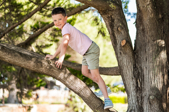 Happy child climbing tree branch on sunny day