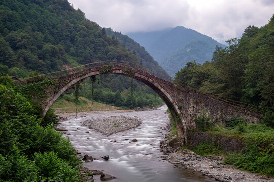 bridge over the river