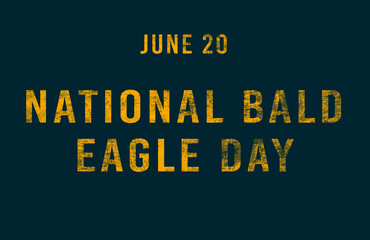 Happy National Bald Eagle Day, June 20. Calendar of June Text Effect, design