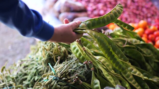 An Indonesian woman is choosing Petai (Parkia Speciosa) in a traditional wet market. Shop at local markets. Concept