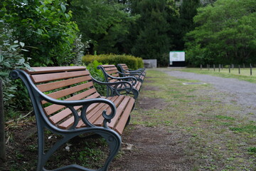 神代植物公園の椅子　Chair in Jindai Botanical Park