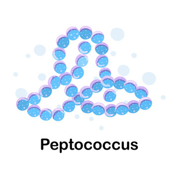 Peptococcus. Microorganisms. Medicine and health. Cartoon. Microbiota. Microbiome. Vector stock illustration. Isolated.Bacteria in the body.