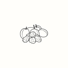 Line art dried plum illustration