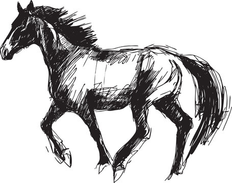 horse abstract vector image with strokes on white background sketch