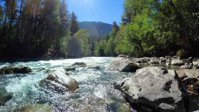 slo-mo mountain forest river with clear water at sunny summertime - loop video