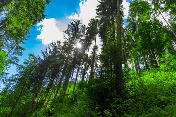 Scenic panoramic landscape: beautiful clinic black forest HD pics, Germany, EUROPE