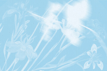 Cyanotype Textured Floral Background