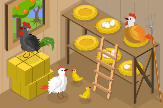 3D Isometric Flat Vector Conceptual Illustration of Chicken Barn, Hen House on Farm