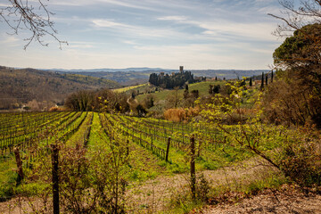 Tuscany vineyard landscape at spring.