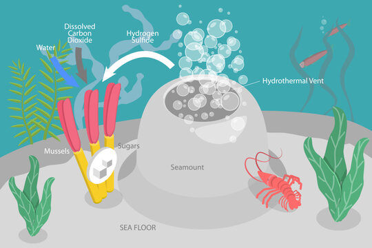 3D Isometric Flat Vector Conceptual Illustration of Chemosynthesis, Hydrothermal Vent