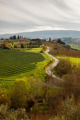 Fototapeta na wymiar The beautiful road through green hills of Tuscany, Italy.