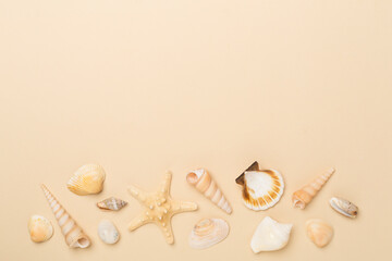 Sea shells on color background, top view
