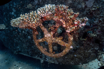Fototapeta premium The wreck of the Million Hope near Nabq, Sharm el Sheikh, Egypt
